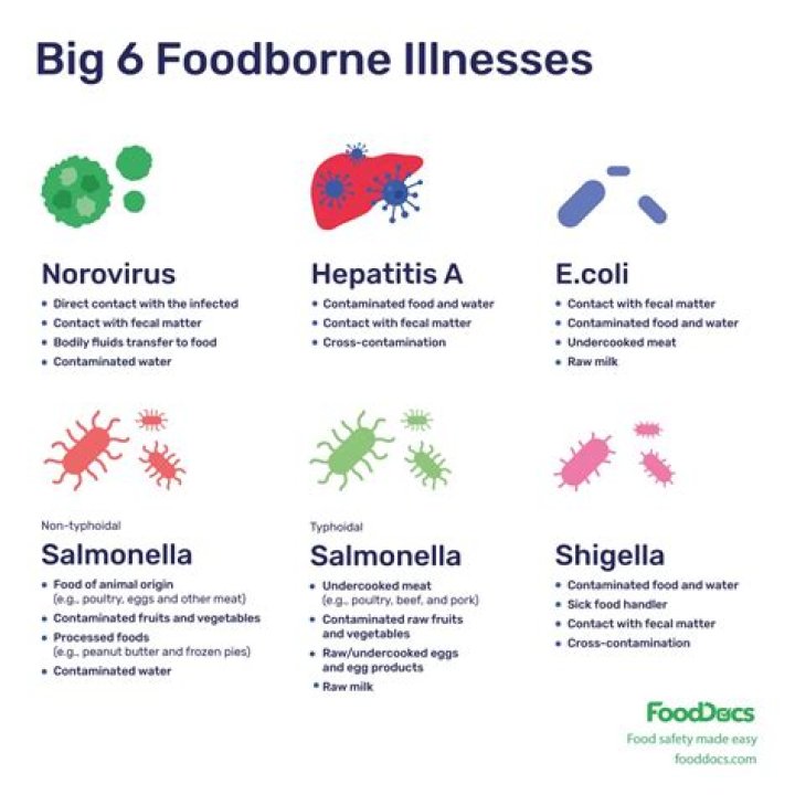 Which of the following is not a high risk population group for foodborne illnesses quizlet?