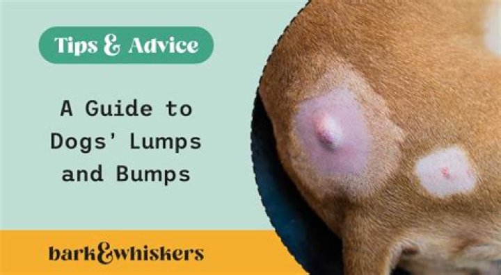 Why do I have lumps in my abdomen?