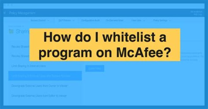 Why is it called a whitelist?