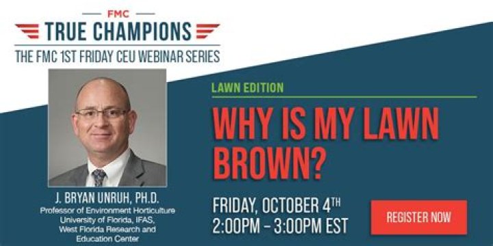Why is my lawn Brown?
