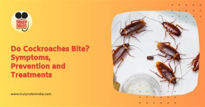 Will cockroaches bite you?